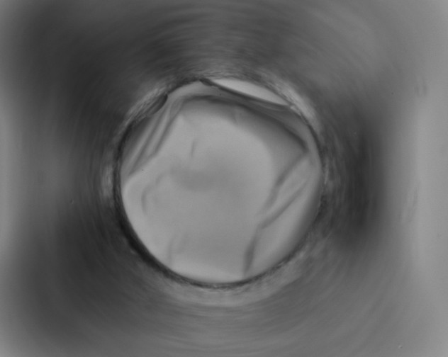 X0000086940010200705141811