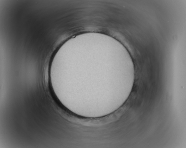 X0000086940011200705141811
