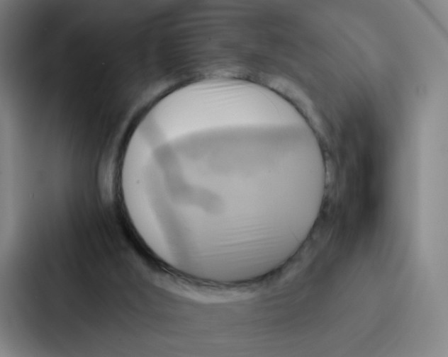 X0000086940012200705141811