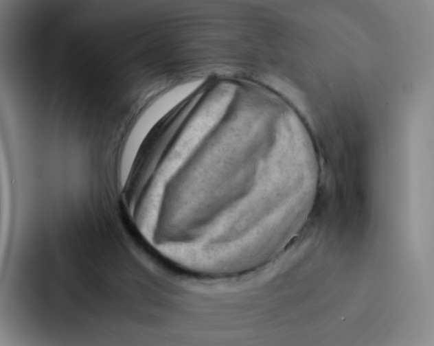 X0000086940013200705141811