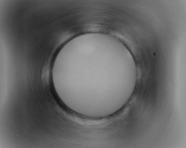 X0000086940016200705141811
