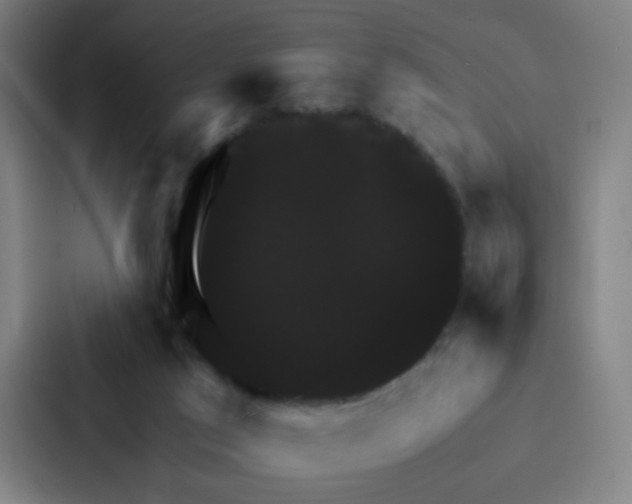 X0000086940017200705141811