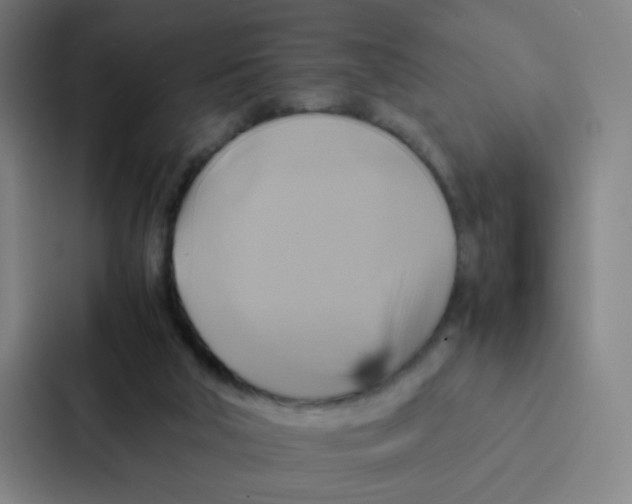 X0000086940018200705141811