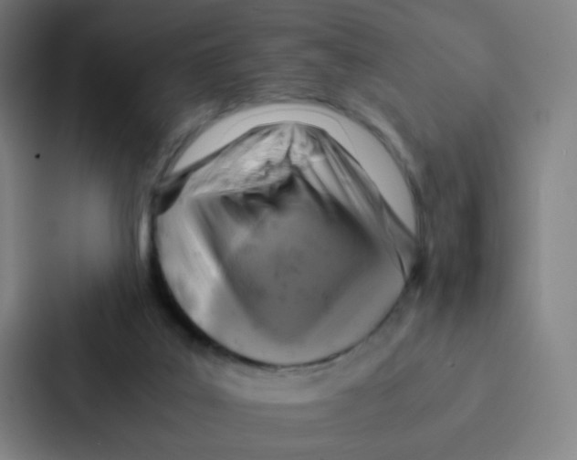 X0000086940019200705141811