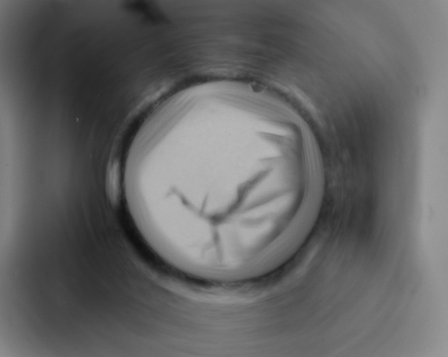 X0000086940020200705141811