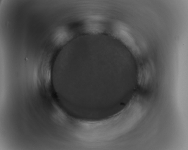 X0000086940021200705141811