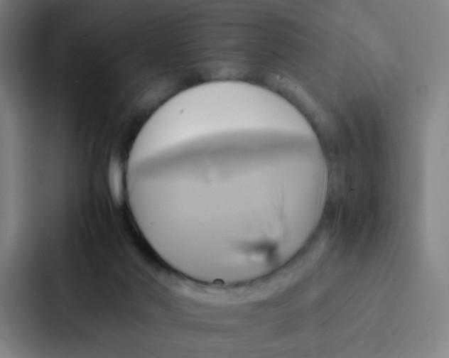 X0000086940022200705141811