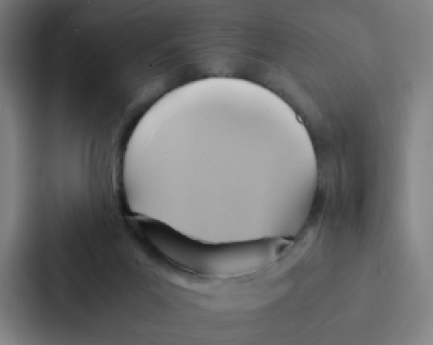 X0000086940023200705141811