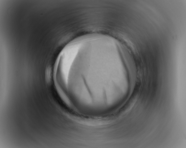 X0000086940024200705141811