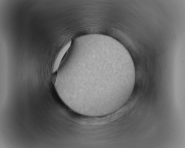 X0000086940025200705141811