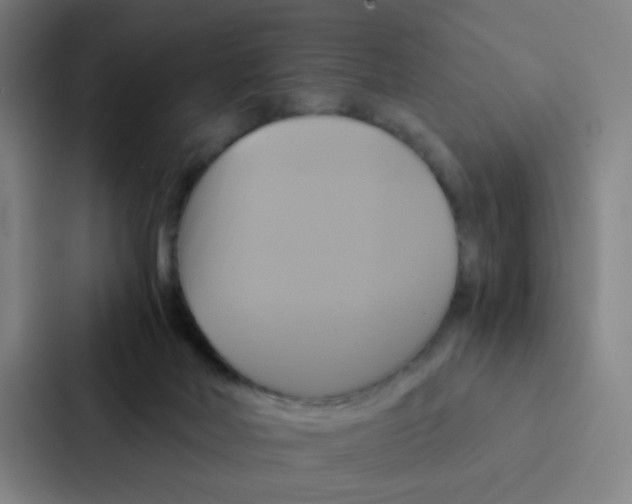 X0000086940026200705141811