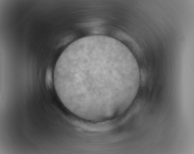 X0000086940028200705141811
