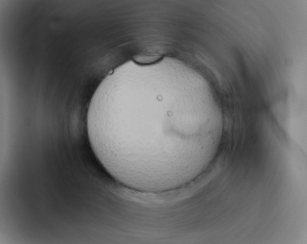 X0000086940030200705141811