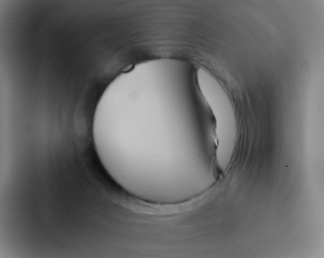 X0000086940031200705141811