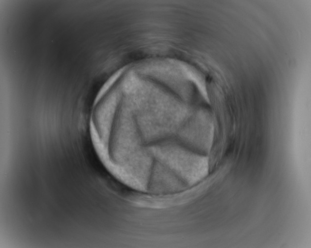 X0000086940033200705141811