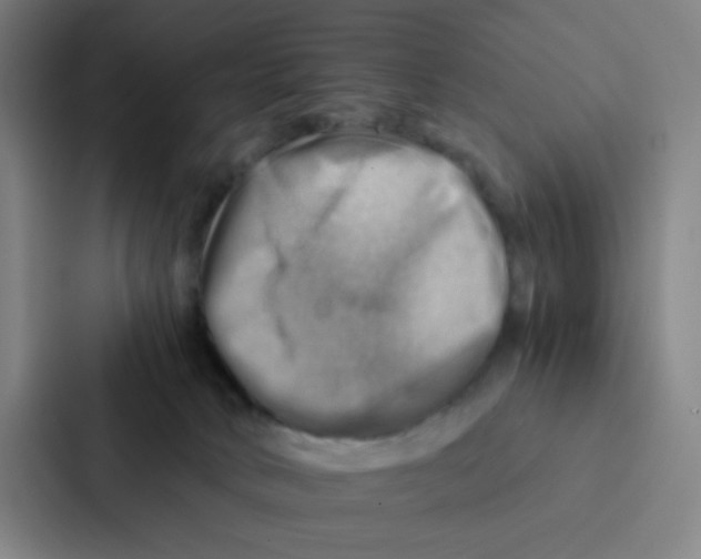 X0000086940034200705141811