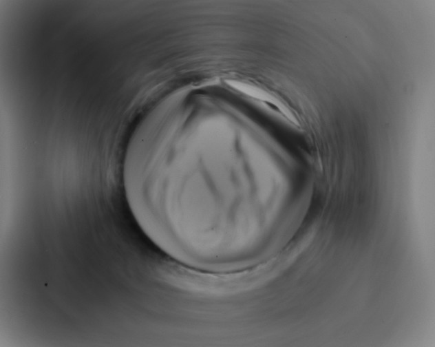 X0000086940035200705141811