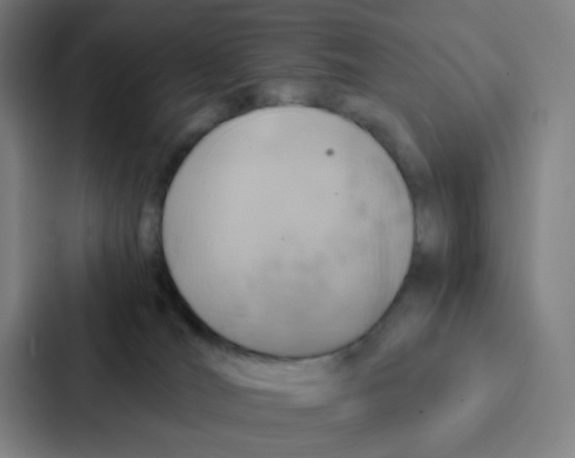 X0000086940036200705141811