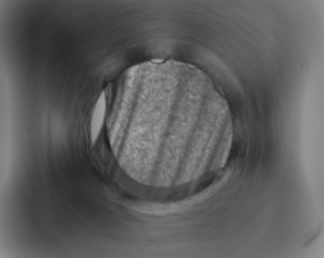 X0000086940037200705141811