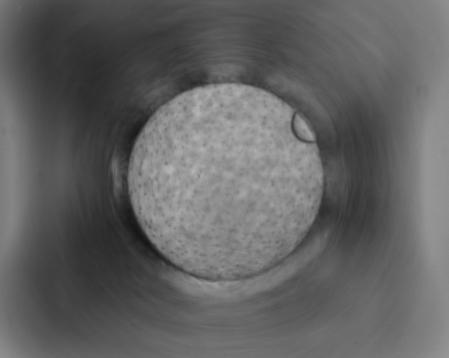 X0000086940038200705141811