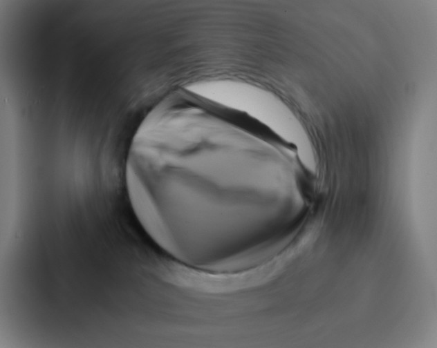 X0000086940039200705141811