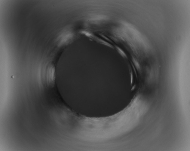 X0000086940041200705141811