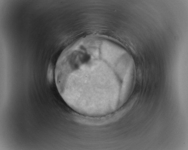 X0000086940042200705141811