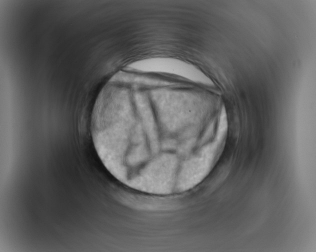 X0000086940044200705141811