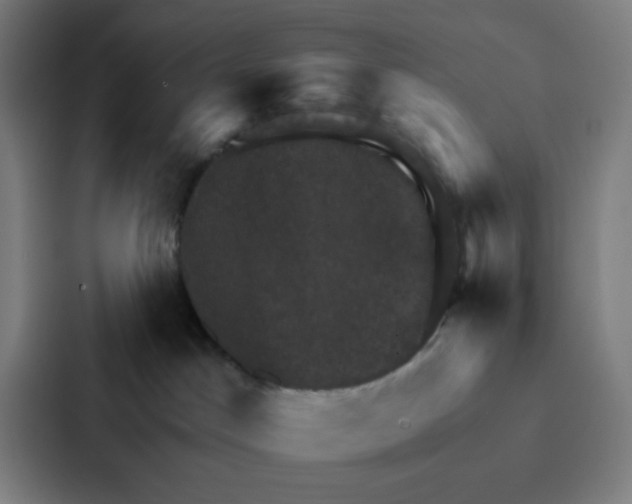 X0000086940045200705141811