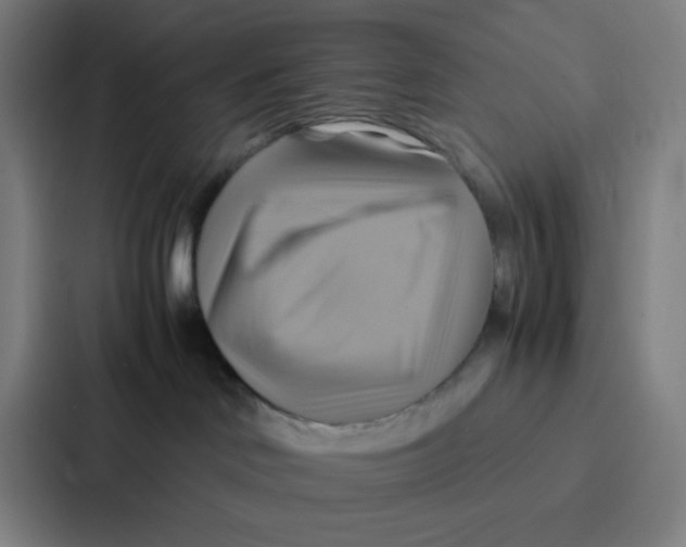 X0000086940046200705141811