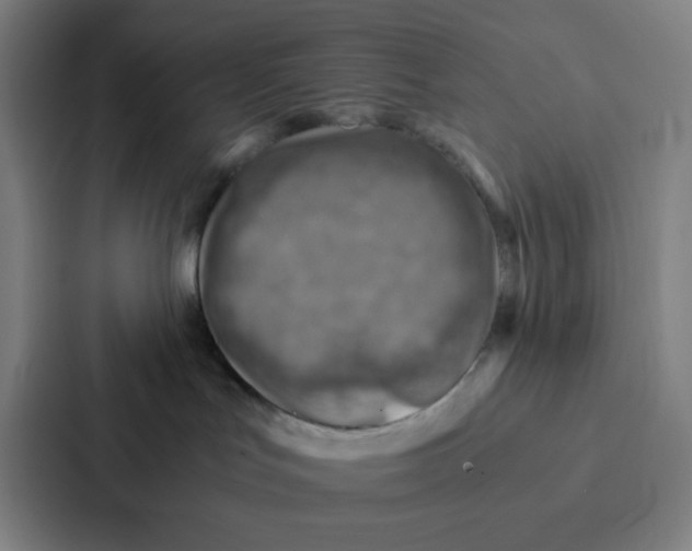X0000086940047200705141811