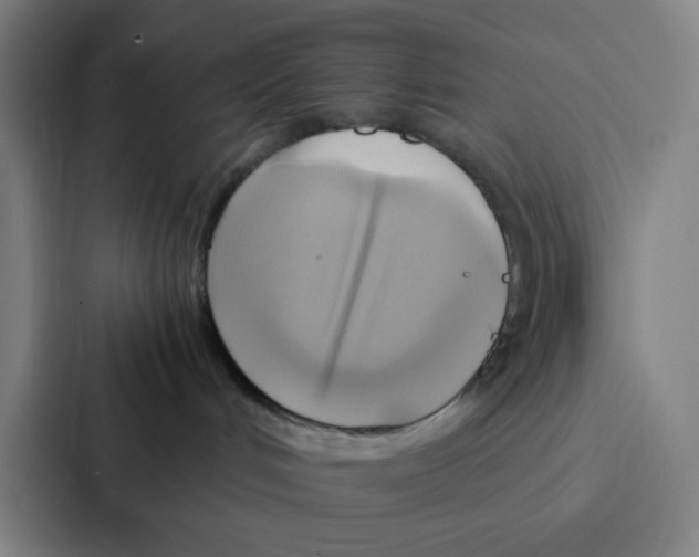 X0000086940048200705141811