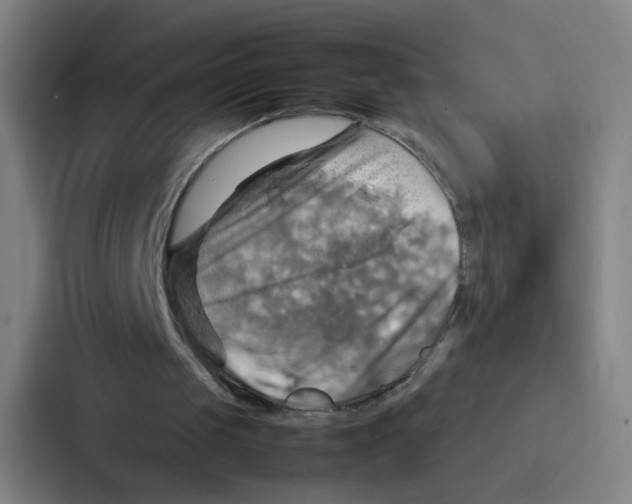 X0000086940049200705141810