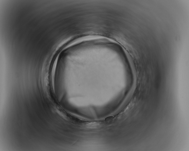 X0000086940050200705141810