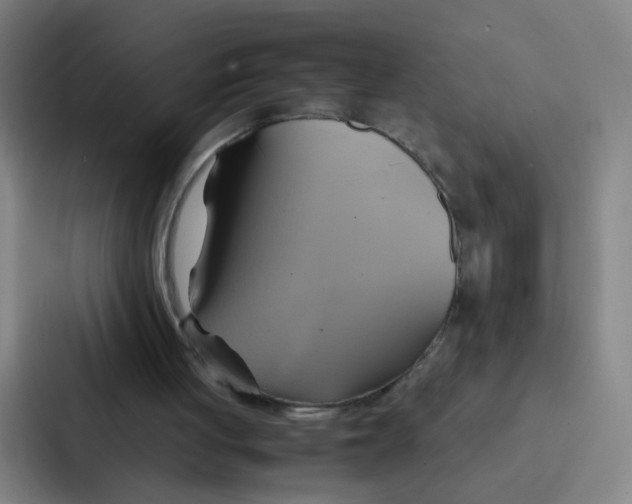 X0000086940051200705141810
