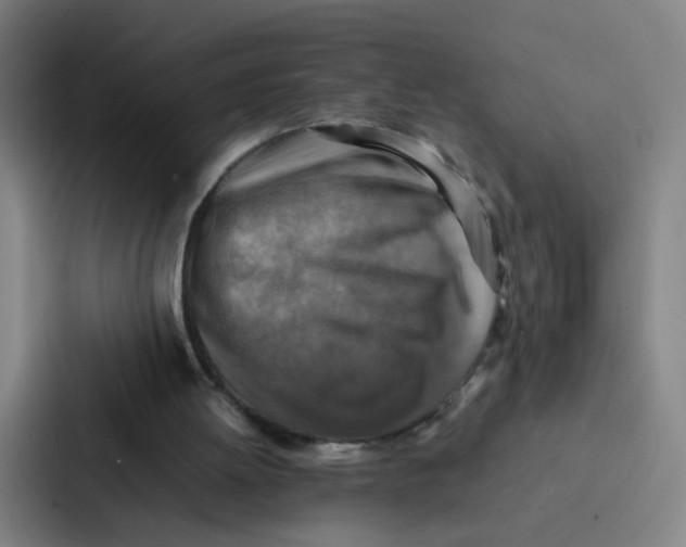 X0000086940052200705141810