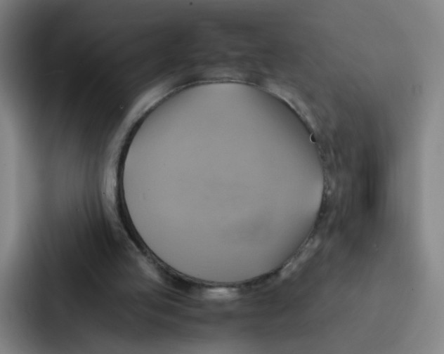 X0000086940053200705141810