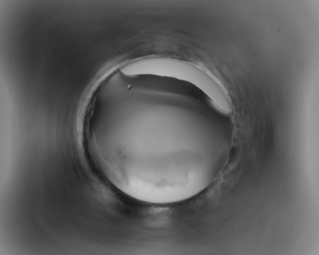 X0000086940055200705141810