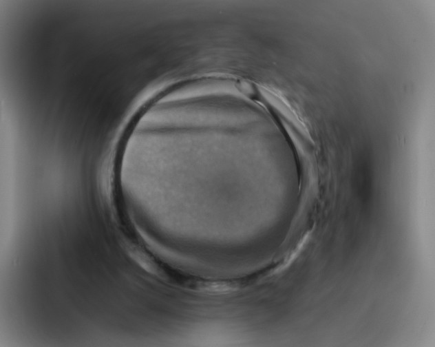 X0000086940056200705141810