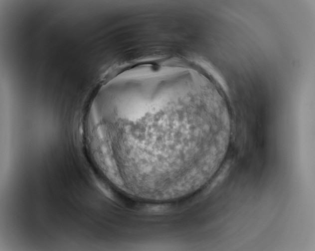 X0000086940057200705141810
