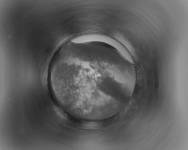 X0000086940058200705141810