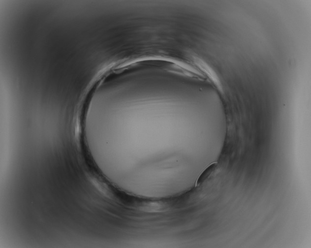 X0000086940059200705141810