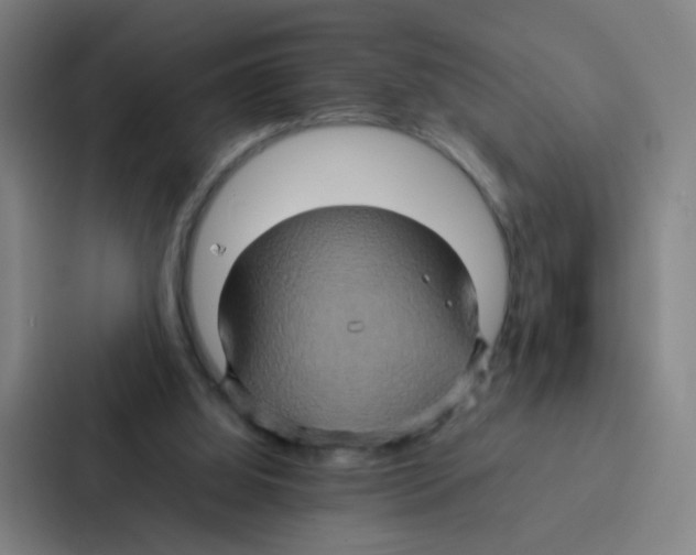 X0000086940060200705141810