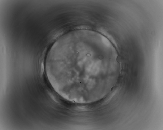 X0000086940061200705141810
