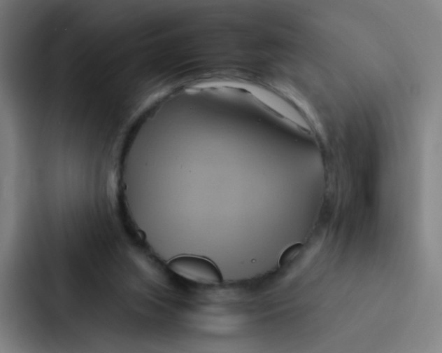 X0000086940063200705141810