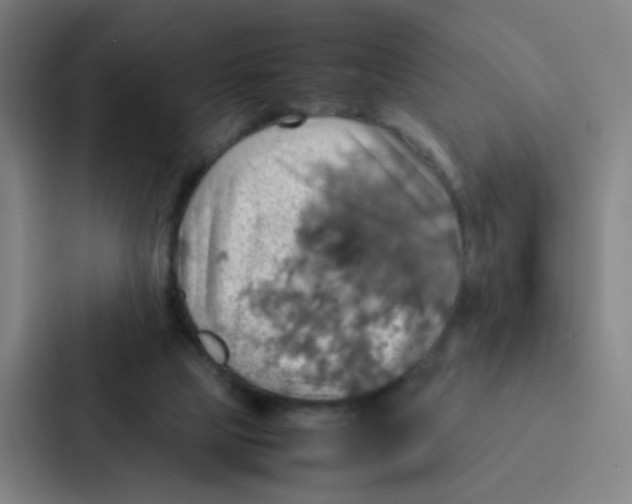 X0000086940065200705141810