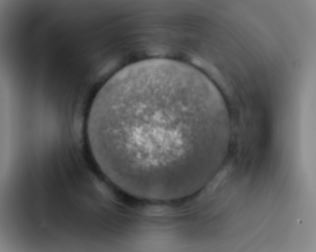 X0000086940066200705141810