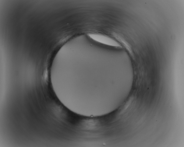 X0000086940067200705141810