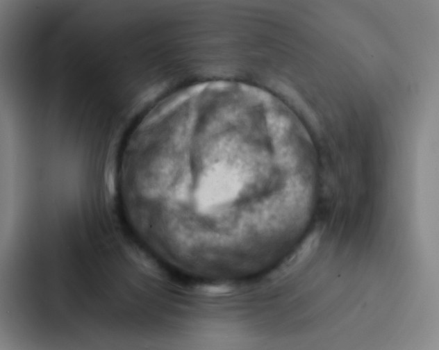 X0000086940068200705141810