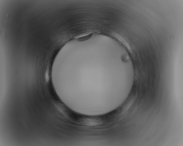 X0000086940069200705141810